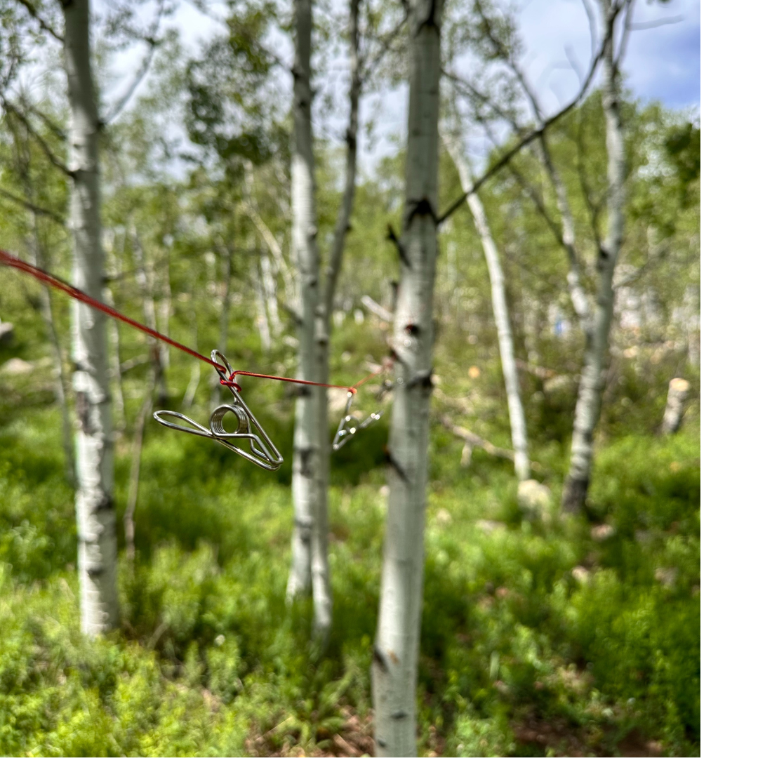 Campsite Dry Line